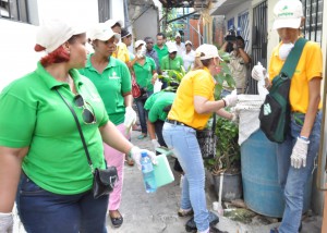 Jornada nacional de fumigación contra el dengue