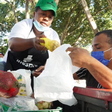 Realizan ventas de alimentos en 135 sectores del Gran Santo Domingo por navidad