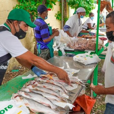 Decenas se abastecen de alimentos en mercado de productores Herrera