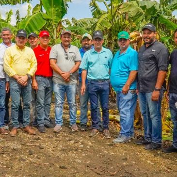 Productores de plátanos del Cibao Central solicitan al Inespre extender compra de cosechas hasta diciembre 2021