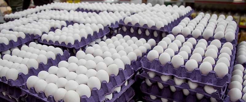 Gobierno dispone la venta de huevos a 3 pesos a través del Inespre 