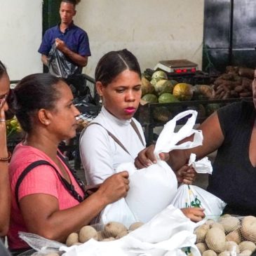 Población se prepara ante posible paso de la  tormenta Fiona comprando alimentos en mercados de productores