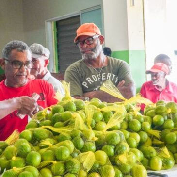 Residentes en 20 sectores de Hato Mayor compran comida barata en mercado de productores