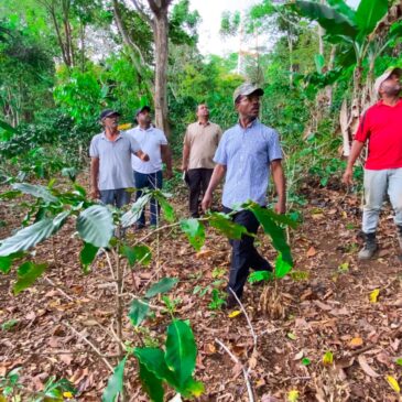 Gobierno apoya a productores de Aguacates a través del Inespre