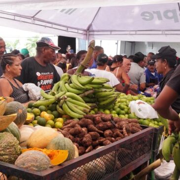 Afirman que la RD es uno de los países con alimentos más baratos