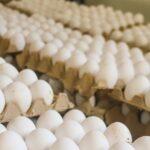 INESPRE CUMPLE CON PRODUCTORES DE HUEVOS DE MOCA