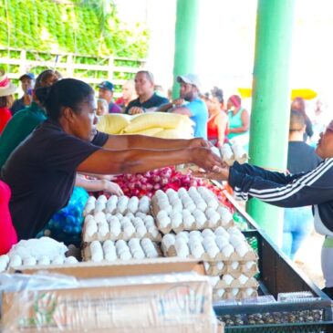 Residentes de Herrera adquieren productos baratos en mercado de productores