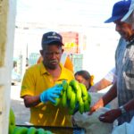 Inespre continúa con éxito venta de guineos verde a peso