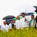 Director del Inespre asiste a ceremonia de Cosecha de Arroz del Proyecto de Cooperación Agrícola Hunan-RD 2024