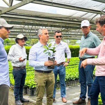 Iván Hernández Guzmán verifica calidad del café dominicano durante visita a INDUBAN