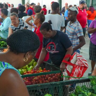 Incrementa número productores que venden sus cosechas  en mercado de productores en La Victoria