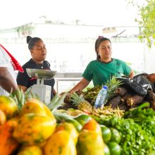 Inespre beneficia a residentes de Herrera y zonas aledañas con mercado de productores