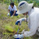 Inespre participa en jornada de reforestación organizada por KOICA en Villa Altagracia